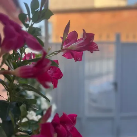 Apartament 6 Saranda